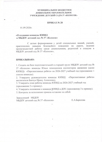 ЮПИД "Перспективные ребята"